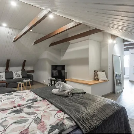 Lägenhet Unique Open Space Loft Studio In The Attic