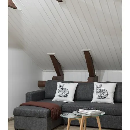 Unique Open Space Loft Studio In The Attic
