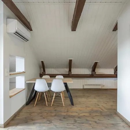 Unique Open Space Loft Studio In The Attic *