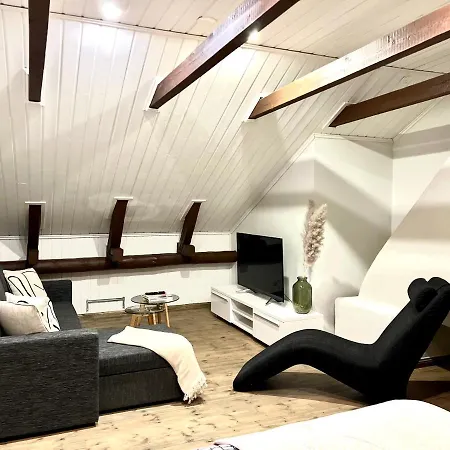 Unique Open Space Loft Studio In The Attic * Kervo